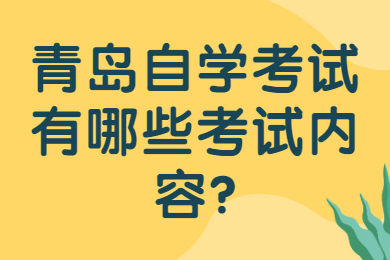 青岛自学考试