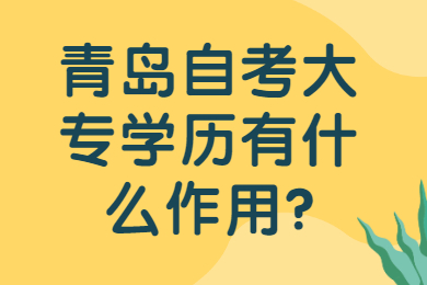 青岛自考大专