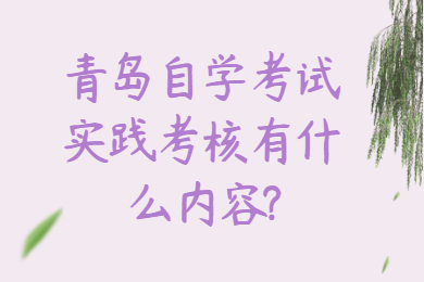 青岛自学考试实践考核有什么内容?