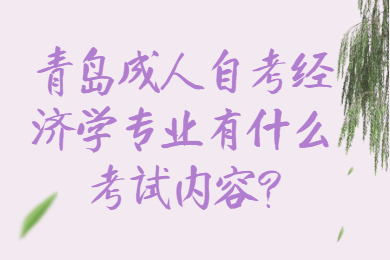 青岛成人自考经济学专业有什么考试内容?